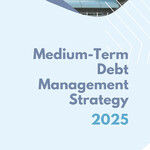 Medium Term Debt Management Strategy 